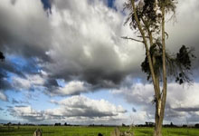 尊龙凯时:中村敬斗传射建功,助兰斯3-1联赛第二的马赛&结束法甲15轮不胜.