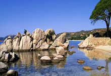 Spears:凯尔特人非常支持杰伦-布朗的斋月 厨师为他准备特制餐食.